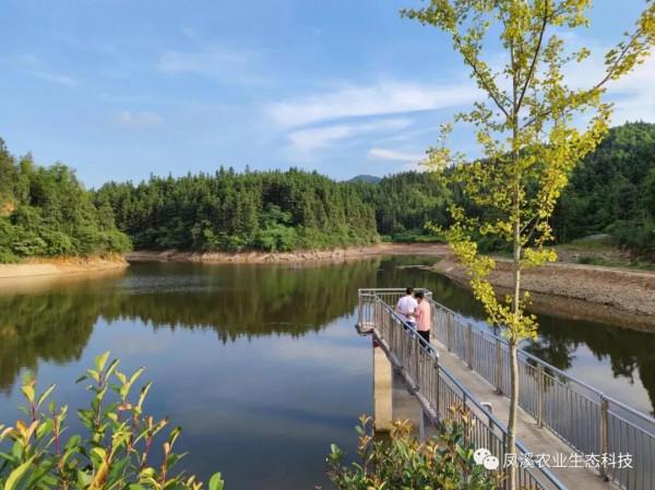 鄉村視野 || 遇見鳳溪
