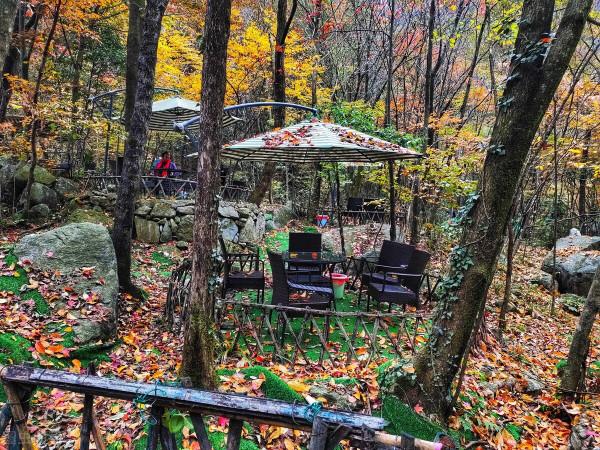 安徽又又又又又紅了 安徽又又又又又紅了