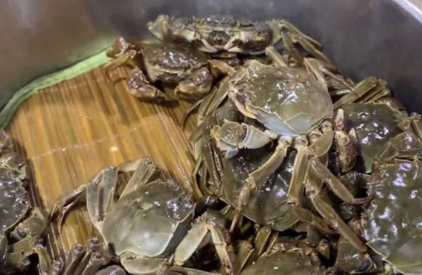 “六月黃”即將下市,別急!大閘蟹就要來了…… “六月黃”即將下市,別急!大閘蟹就要來了……