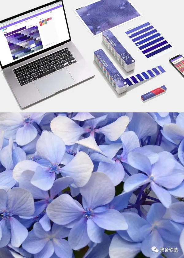 2022流行色 高階又治癒