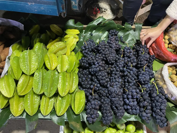 雲南紅河蒙自，大樹寨夜市