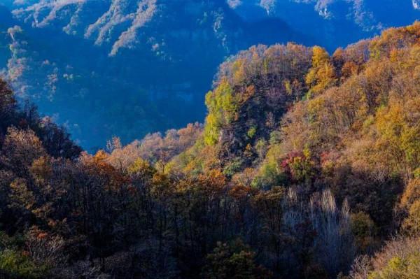 秋色美 惹人醉 秋色美 惹人醉