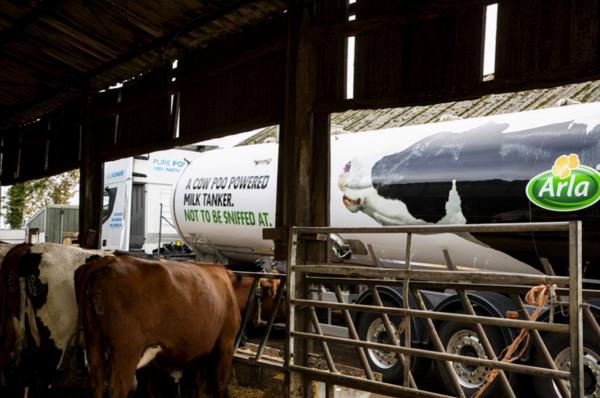 牛屎變可充電式電池？英國乳業公司提供100萬噸牛糞為120萬戶供電