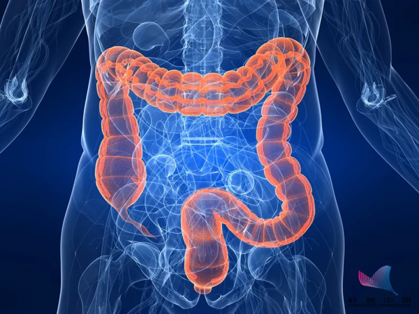 科普 | 長期吃蜂蜜會致癌、致畸？和蔥一起吃，會中毒？真相，拿來吧你…