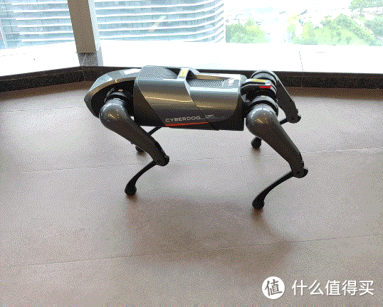 人生中養的第一條狗是機器狗！小米 CyberDog“鐵蛋”初體驗
