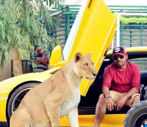 26張圖片,帶你瞭解“壕無人性”的迪拜,讓人大開眼界 26張圖片,帶你瞭解“壕無人性”的迪拜,讓人大開眼界