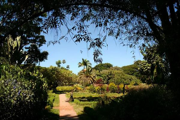 每週看世界 |尚比亞首都——盧薩卡 每週看世界 |尚比亞首都——盧薩卡