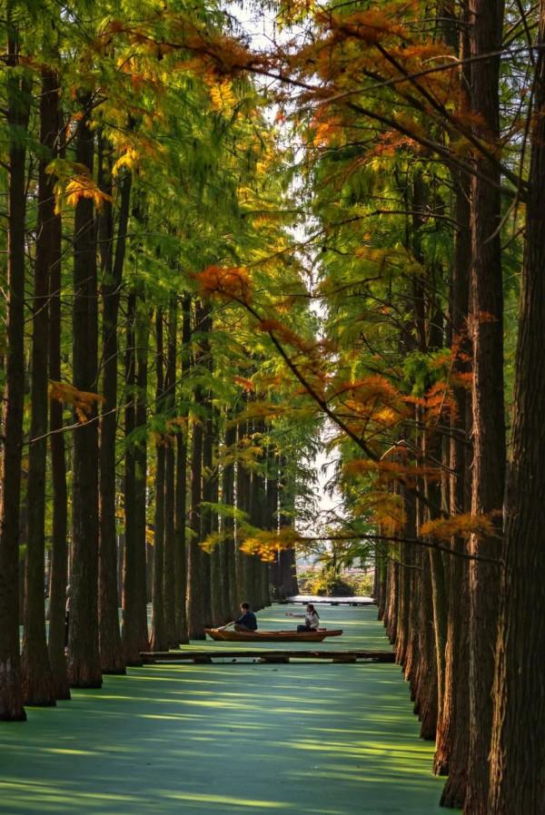 中國最美的50個地方,我竟然只去過10個,你呢? 中國最美的50個地方,我竟然只去過10個,你呢?