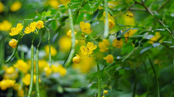 退休後，要保持活到老學到老的心態，不要太依賴別人