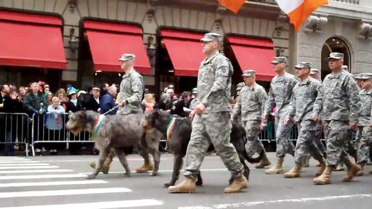 為什麼沒見過美國有大規模的閱兵儀式