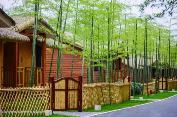 竹籬院牆，打造清新自然庭院的最佳選擇