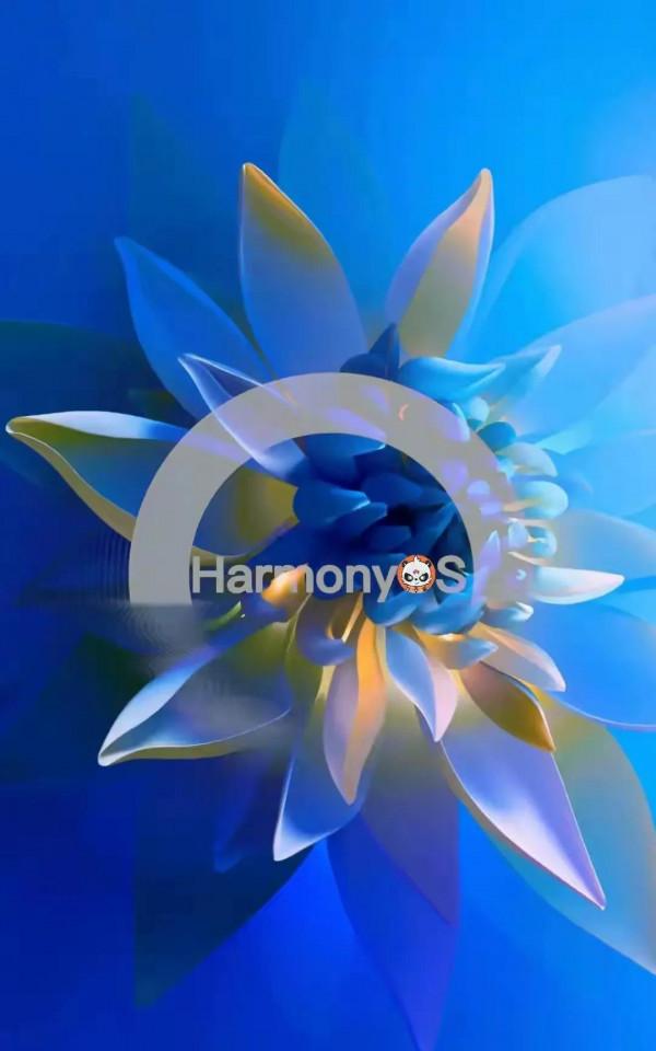 美好的東西分享給大家，特別是第十一張