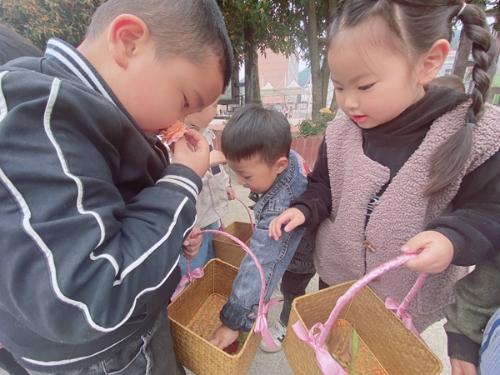 東陽市三單鄉中心幼兒園：拾一路美好