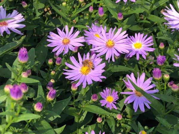 昆嵛山9月免費開放,快去 昆嵛山9月免費開放,快去