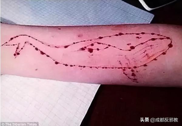 2名花季少女相約跳樓自殺，藍鯨遊戲究竟是什麼?