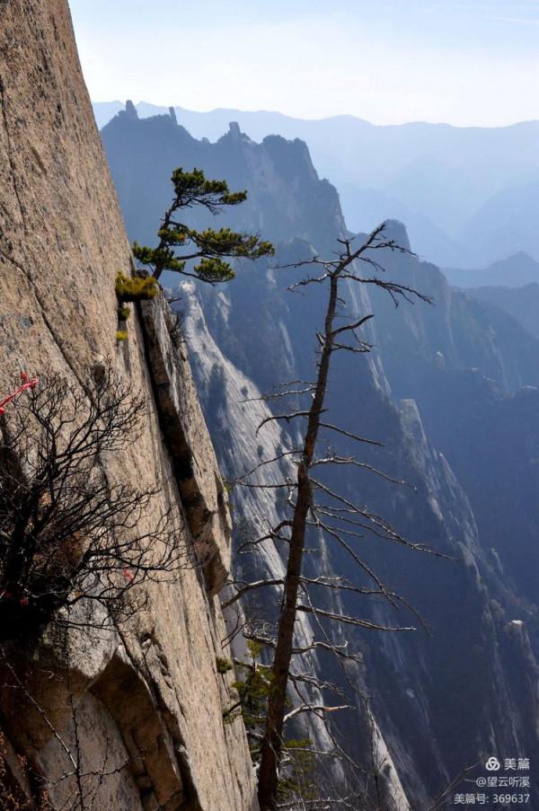 乘坐西峰索道上華山