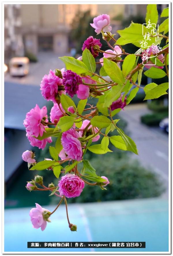 時光匆匆，一閃而逝，這世間萬物的美，都值得被記錄