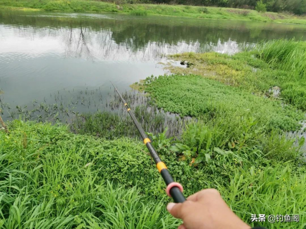 同一個釣位,昨天能連桿今天卻空軍!背後的原因你知道嗎? 同一個釣位,昨天能連桿今天卻空軍!背後的原因你知道嗎?