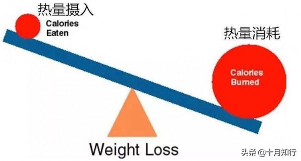 為什麼減脂容易保持難,10個小建議,幫你在瘦下來之後保持下去 為什麼減脂容易保持難,10個小建議,幫你在瘦下來之後保持下去