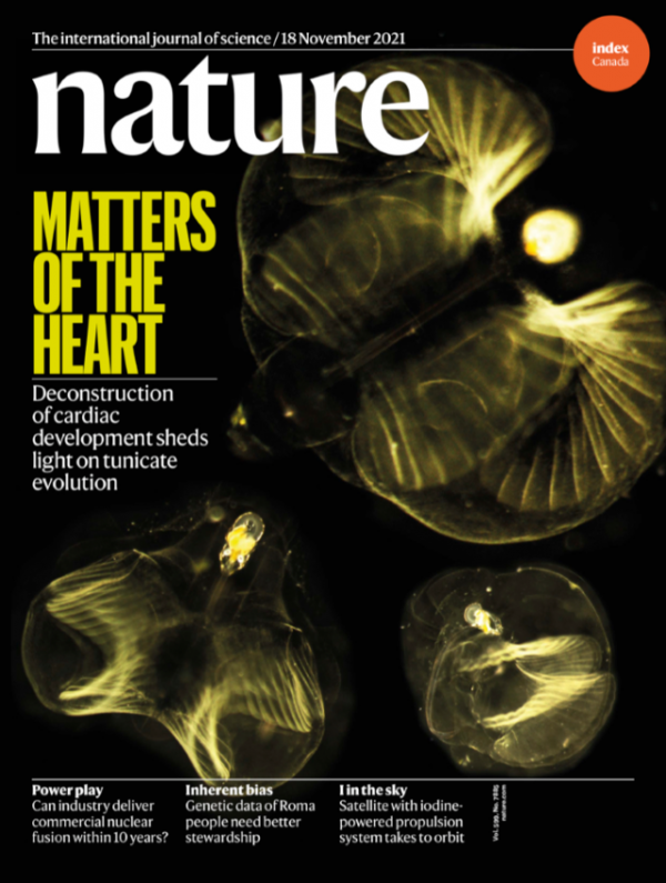 2021年登上Nature封面的地球與行星科學發現 2021年登上Nature封面的地球與行星科學發現