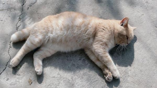 自從來到這，我把市裡的房子給賣了