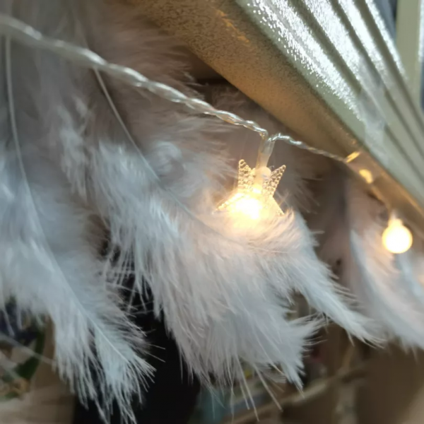 快來看看西希的寢室有多美