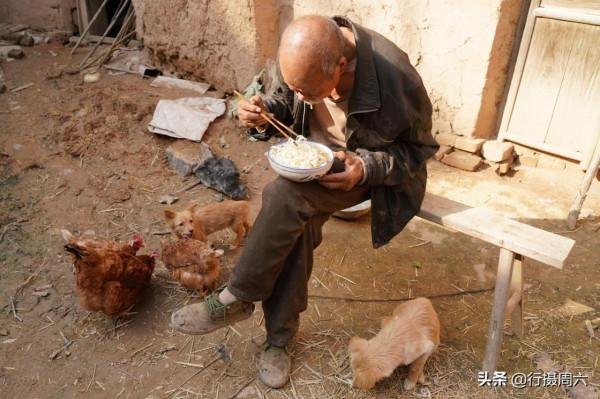 河南大爺養1頭騾子種30畝地，能吃能幹，午飯吃4個雞蛋2碗麵