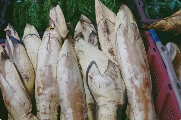 東北人逛雲南農村菜市場，一個菜都不認識，當地人：我們也認不全