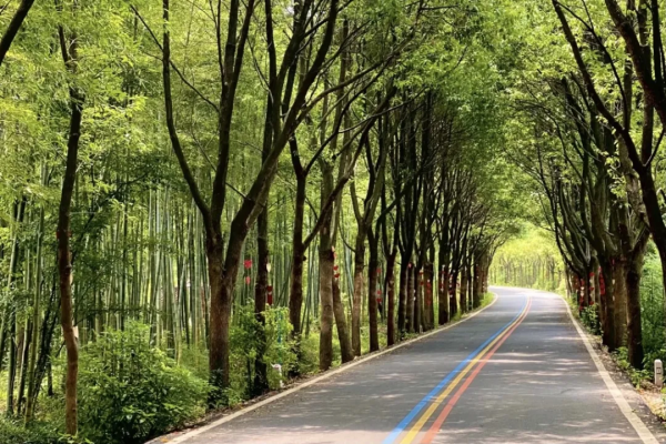 江浙滬最寶藏的溫泉小城,週末來度個假正合適 江浙滬最寶藏的溫泉小城,週末來度個假正合適