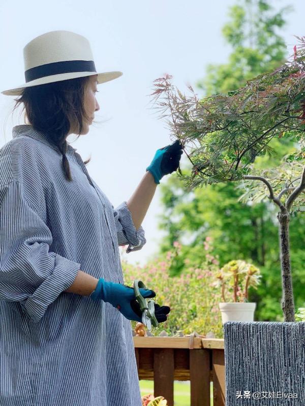 孫悅久違登央視晚會太興奮！穿魚鱗裙大方秀身材，換髮型變央視臉