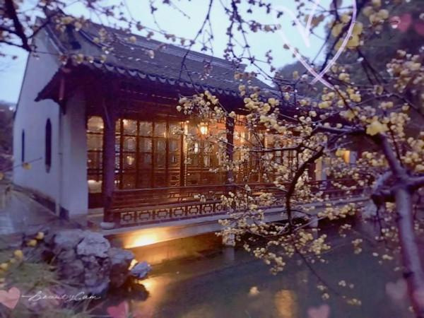 瞻園夜景！