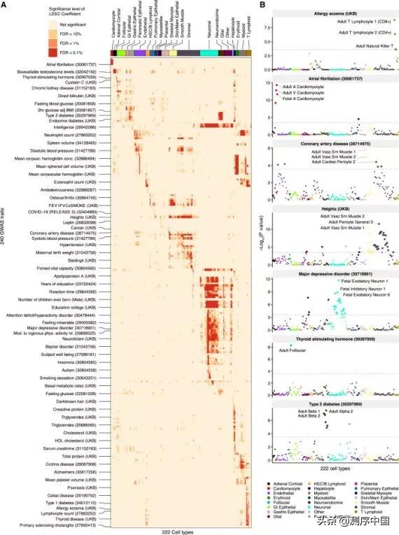 加州大學任兵團隊發表迄今最大規模人類單細胞染色質可及性圖譜 加州大學任兵團隊發表迄今最大規模人類單細胞染色質可及性圖譜