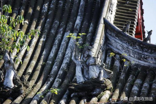 茶影的進藏日誌3 茶影的進藏日誌3