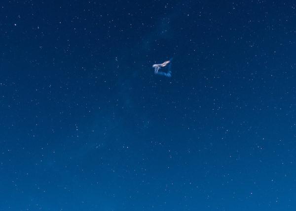 美國匹茲堡新年第一天傳出巨響 官員：或為流星爆炸