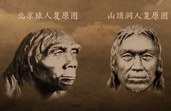 我們的祖先到底是山頂洞人還是北京猿人,科學家給出了答案 我們的祖先到底是山頂洞人還是北京猿人,科學家給出了答案