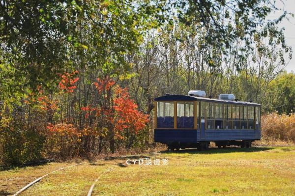 記錄南湖晚秋的色彩 記錄南湖晚秋的色彩