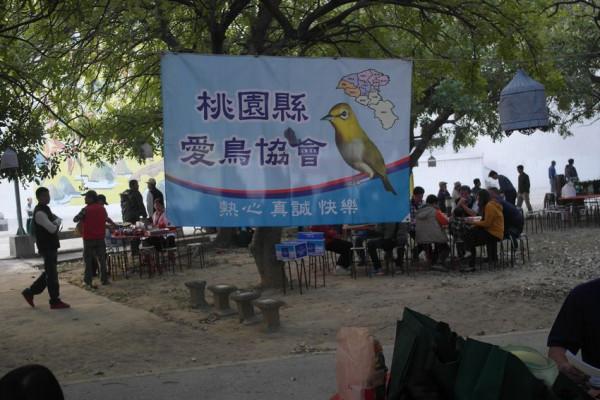 即將消失的中國養鳥文化:古代進貢皇家的繡眼鳥是暗綠還是紅肋? 即將消失的中國養鳥文化:古代進貢皇家的繡眼鳥是暗綠還是紅肋?