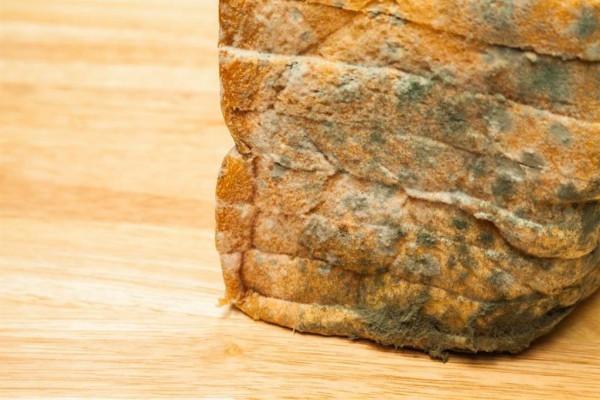 一克熟茶五億黴菌，喝熟茶等於喝髒水？普洱茶到底還能不能喝？