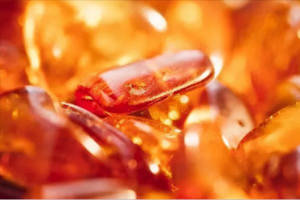 親子閱讀：《山海經》神奇而又豐富的招搖山