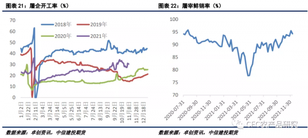 「2022生豬年報」告別非瘟時代，紅海逐浪而行