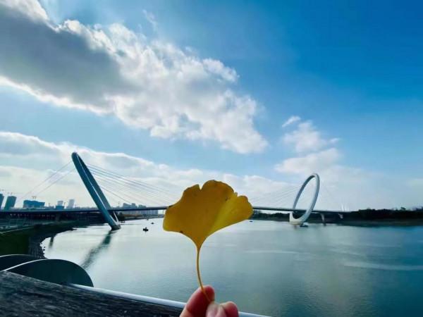 關於兩本經書的事