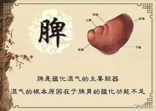 喜靜少動，溼氣重，痰溼體質，你是嗎？
