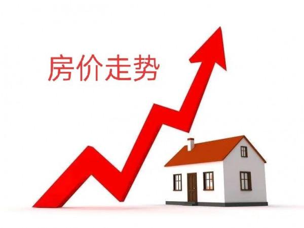 今年不買房，5年後是“寶”還是“草”？馬光遠說透了