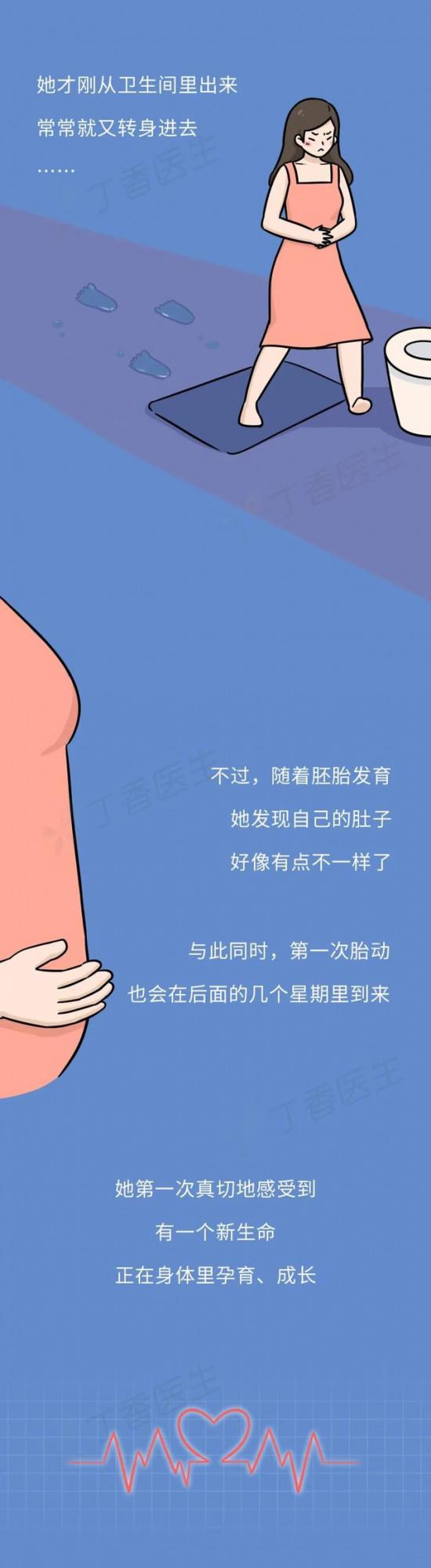 漫畫科普：長圖看懂懷孕全程，感受生命的神奇與母愛的偉大