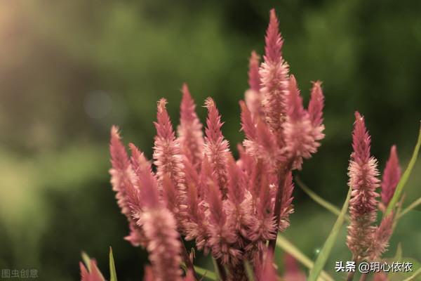 美好的深秋,帶娃生活的一段小插曲 美好的深秋,帶娃生活的一段小插曲