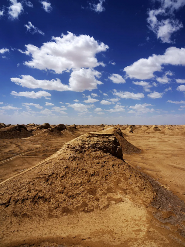 中國最美的6條鐵路，一路上的美景，讓人捨不得眨眼，此生必去