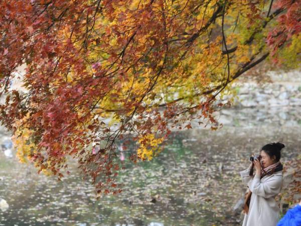 冬天給你的一封情書:秋天的味,科普的玄,公園的幻,它們的萌,都是你的美 冬天給你的一封情書:秋天的味,科普的玄,公園的幻,它們的萌,都是你的美