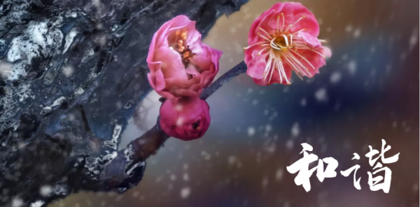 007 當你覺察到自己有不配得感，如何去超越呢？