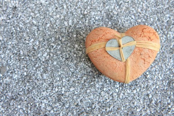 再婚之後,發現癌症又復發,她可能要第二次失去家了 再婚之後,發現癌症又復發,她可能要第二次失去家了