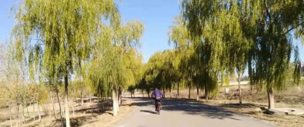 原創 | 秋日的私語-III故事集錦